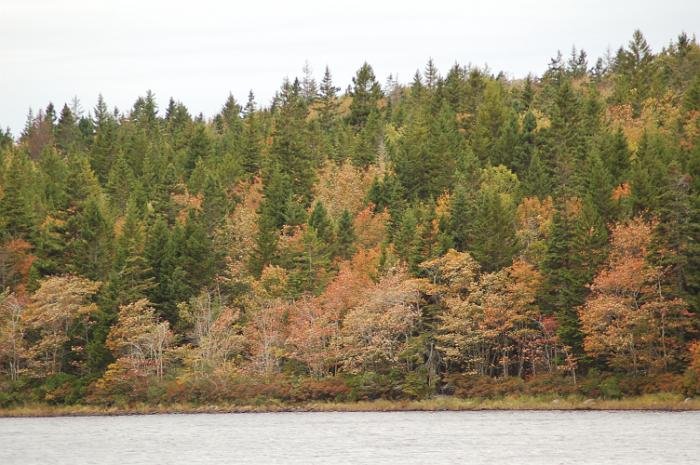 Salmon Lake 2010_022